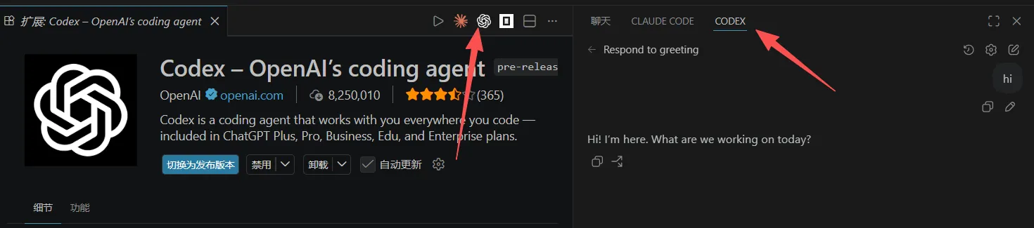 VS Code Codex 侧边栏